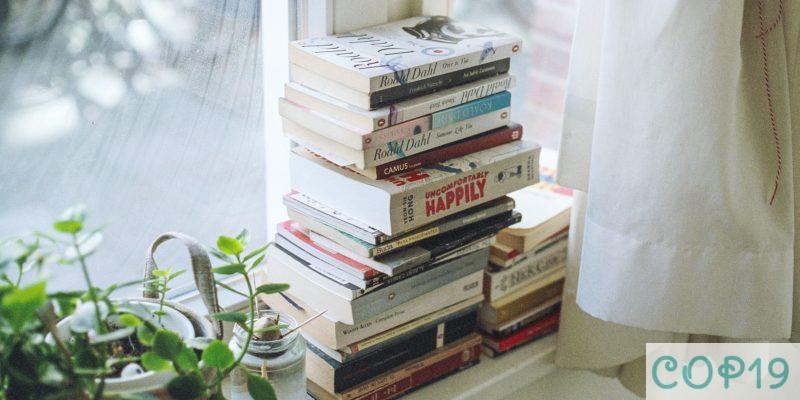 assorted-title book lot beside window