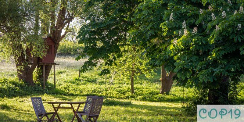 brown wooden bench under green tree during daytime