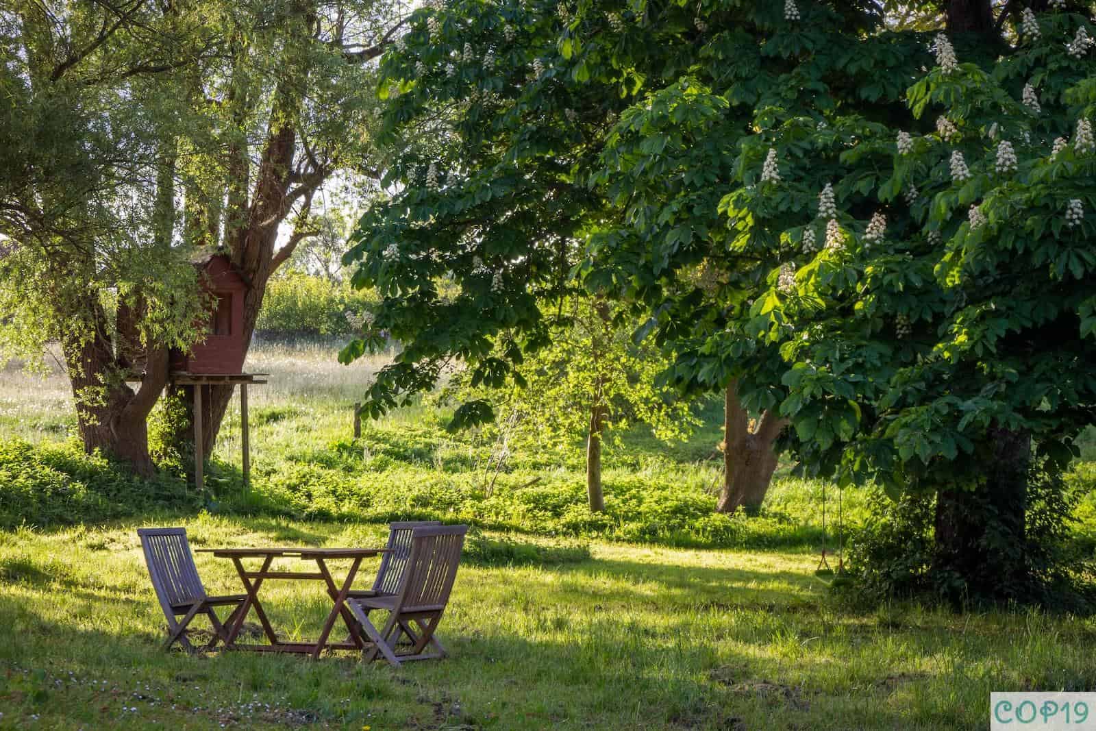 brown wooden bench under green tree during daytime