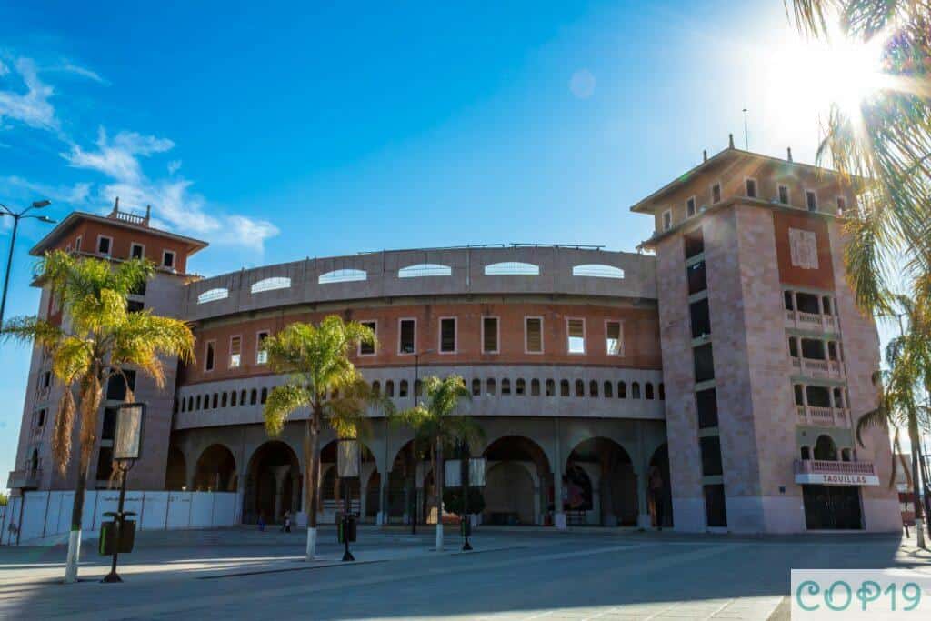 a large building with palm trees in front of it