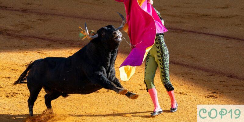 a woman is trying to wrestle a bull in a bullfight